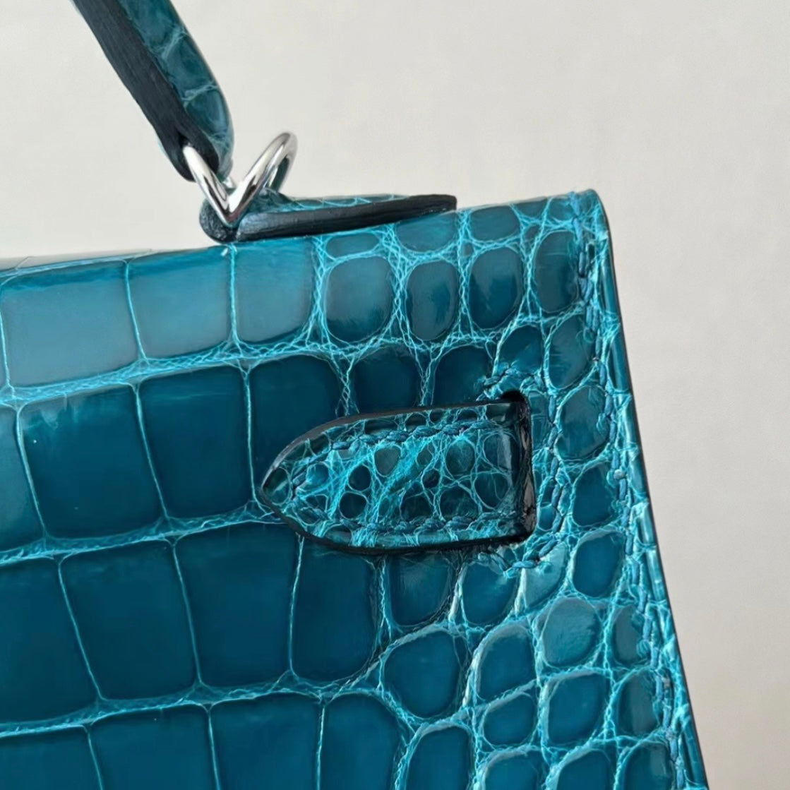 BLUE GREEN ALLIGATOR - CUSTOM