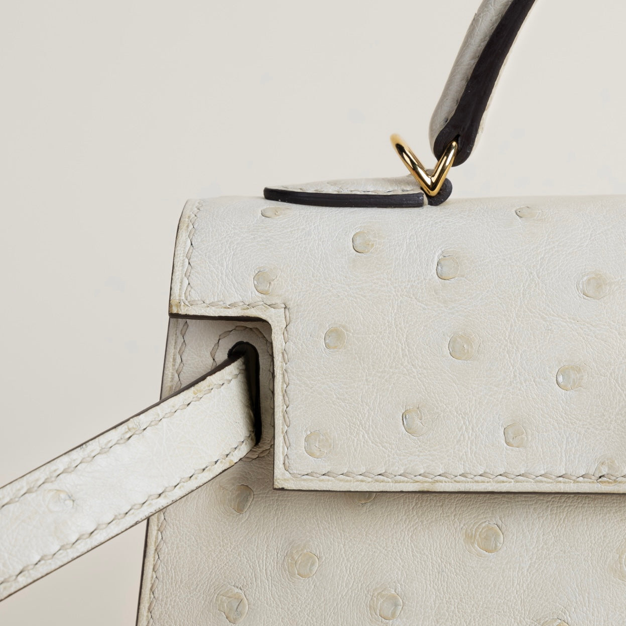 PARCHEMIN OSTRICH - CUSTOM