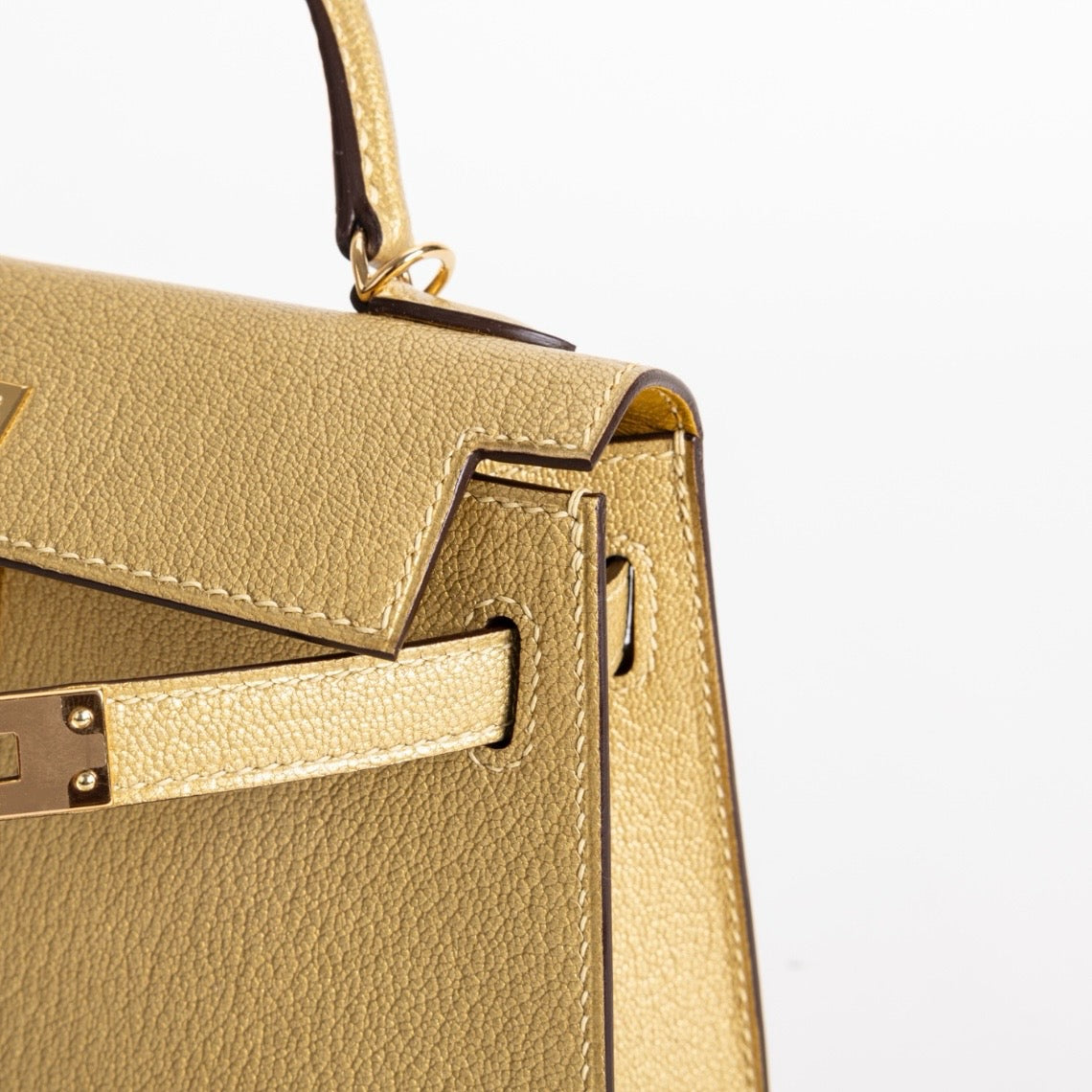 DORE CHEVRE - CUSTOM