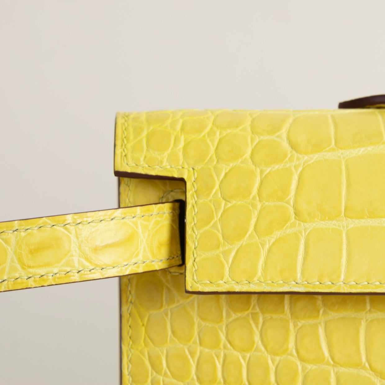 LIME CROCODILE - CUSTOM